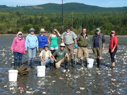 Jefferson MRC and Beach Watcher volunteers scatter oyster shells on Discovery Bay. Credit: Tori Cantelow