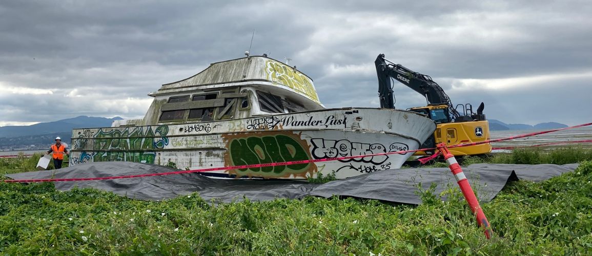 Wander Lust  removal from Whatcom County beach