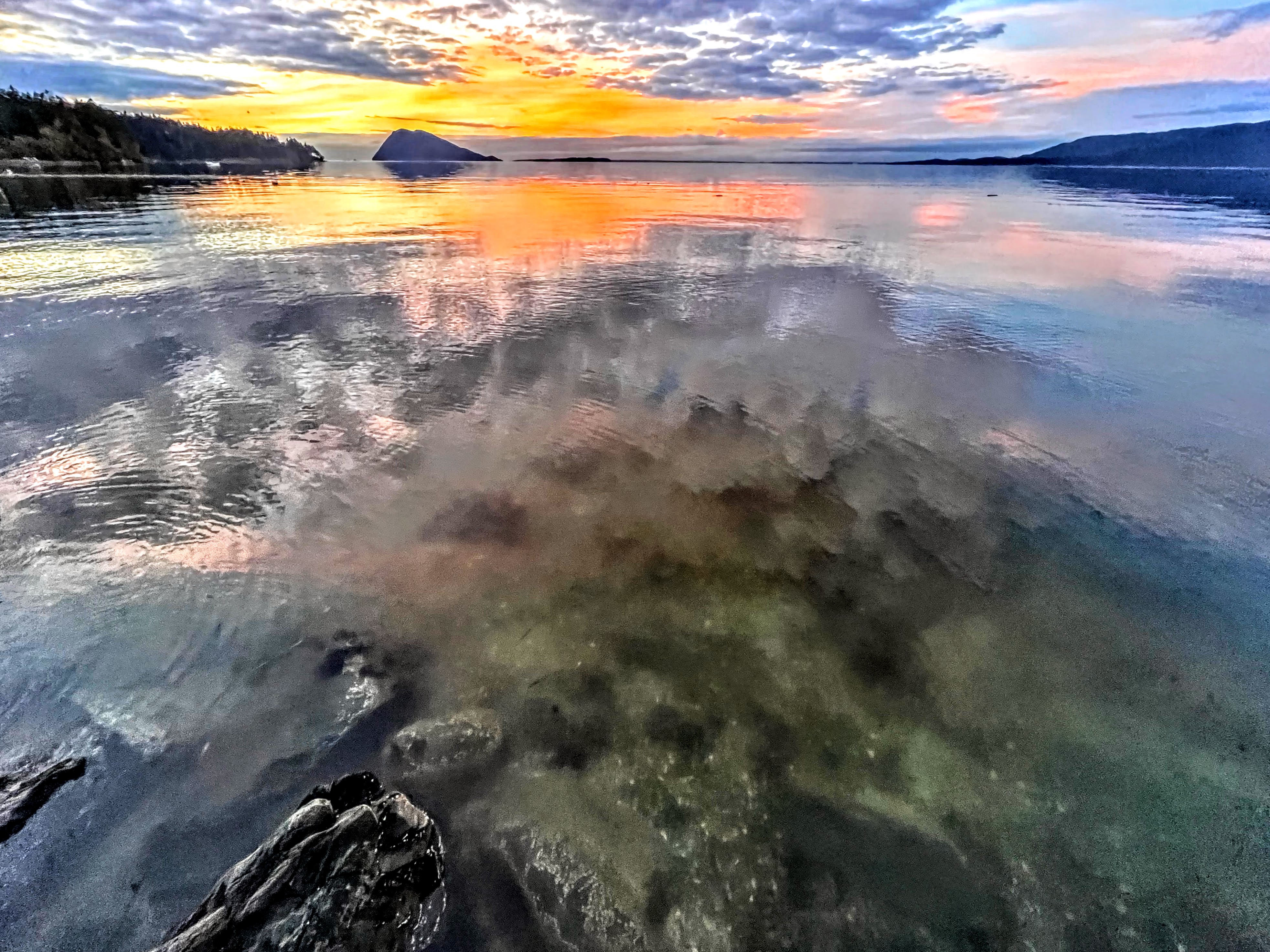 Samish Bay. Sarah Southard.jpg